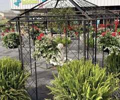 Four Seasons Garden Center