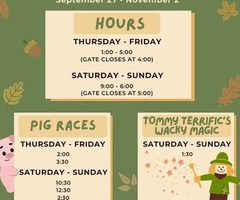 Motley's Pumpkin Patch